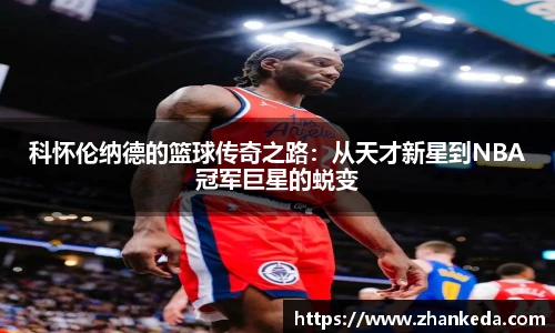 今年会jinnianhui官网