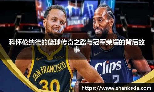 今年会平台入口
