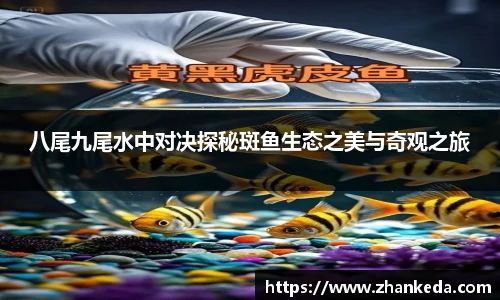 今年会八尾九尾水中对决探秘斑鱼生态之美与奇观之旅